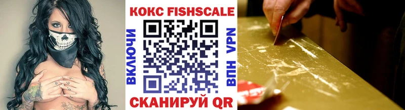 Купить закладки  Озёрск  COCAIN 98% 