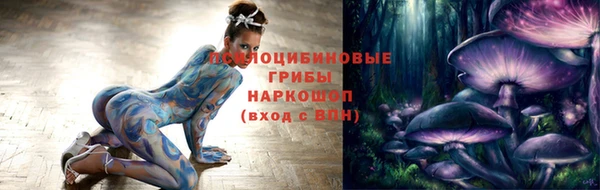 гидропоника Бородино