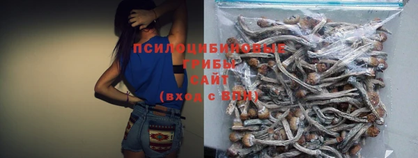 прущие грибы Бугульма