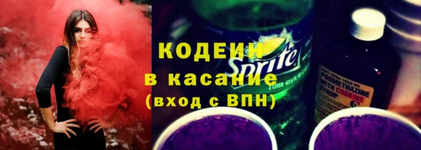 прущие грибы Бугульма