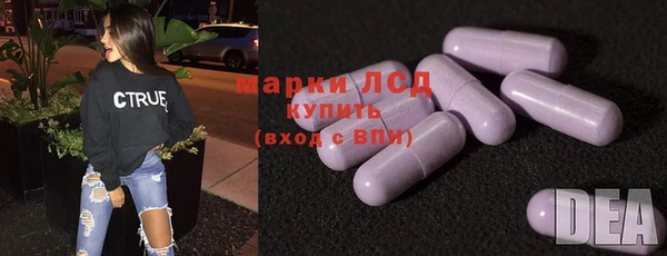 прущие грибы Бугульма