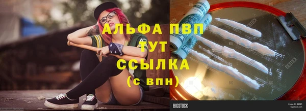 прущие грибы Бугульма
