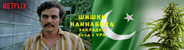 гидропоника Бородино