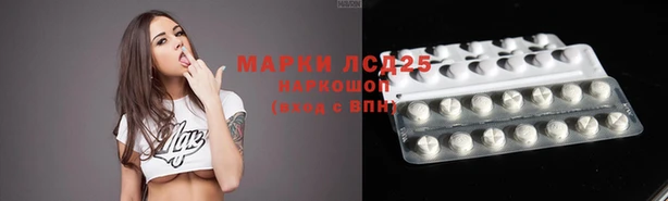 гидропоника Бородино