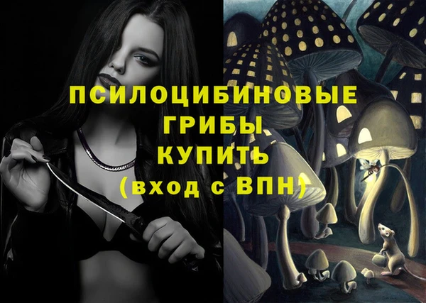 гидропоника Бородино