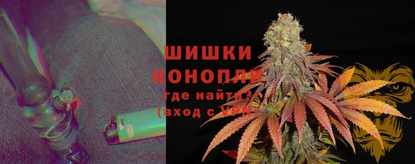 гидропоника Бородино