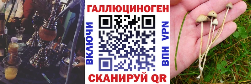 Галлюциногенные грибы MAGIC MUSHROOMS Озёрск